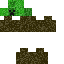 skin for grass block creeper