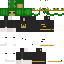 skin for GrEeM kInG Oliver