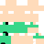 skin for Green Shirt