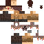 skin for grians friend irdk