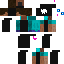 skin for hehe