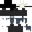 skin for Hollow Knight  Ghost  The Knight V2