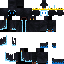 skin for ice king