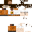 skin for Ira22 revised