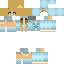 skin for isy