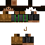 skin for Jesse