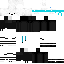 skin for light blue ninja bear