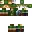 skin for link