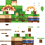 skin for Link