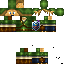 skin for link