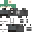 skin for M161