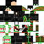 skin for mariogamer24 chrismas