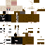 skin for mine