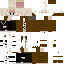 skin for mine