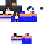 skin for Minecraft but everything is blue like ein