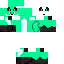 skin for Minty