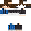 skin for MrBrok animation version