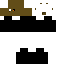 skin for MrStitchy