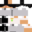 skin for NashMC