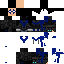 skin for nightwing