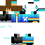 skin for nikito201pro