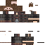 skin for Npc