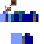 skin for Old Steve