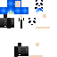 skin for PandaReyy