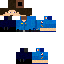 skin for Paramedic