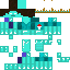 skin for parker