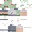 skin for pear