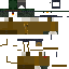 skin for Penguin Veteran