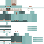 skin for pErRy ThE pLaTyPuS