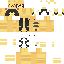 skin for pika