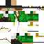 skin for Pirate Captain