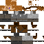 skin for PJRP Beric 