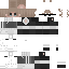 skin for poggersbro normal