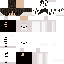 skin for polor bare