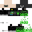 skin for PPhop