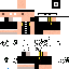 skin for Pro