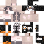 skin for puenguine