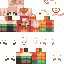 skin for Pumkin