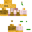 skin for pumpkin man