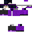 skin for purple penguin