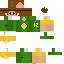 skin for request Packers number 12