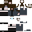 skin for Sage