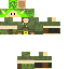 skin for Saria