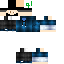 skin for sdfsdfsf