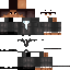 skin for Shokio Zone