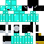 skin for Skeppy dragon